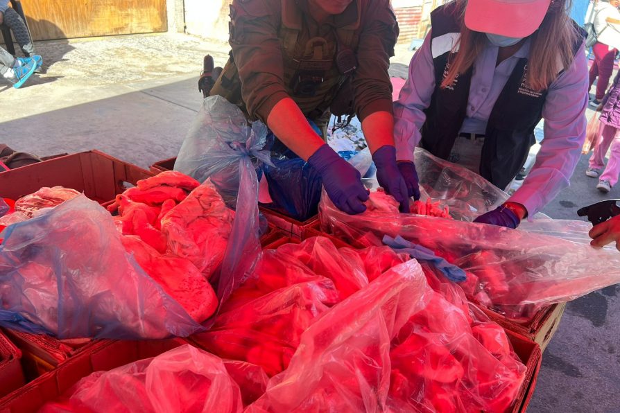 1.200 kilos de carnes fueron decomisados tras fiscalización en ferias libres de Calama