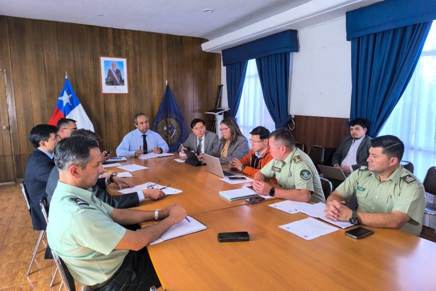 Bajan delitos y aumentan controles en la Provincia de El Loa tras nuevo Comité Policial